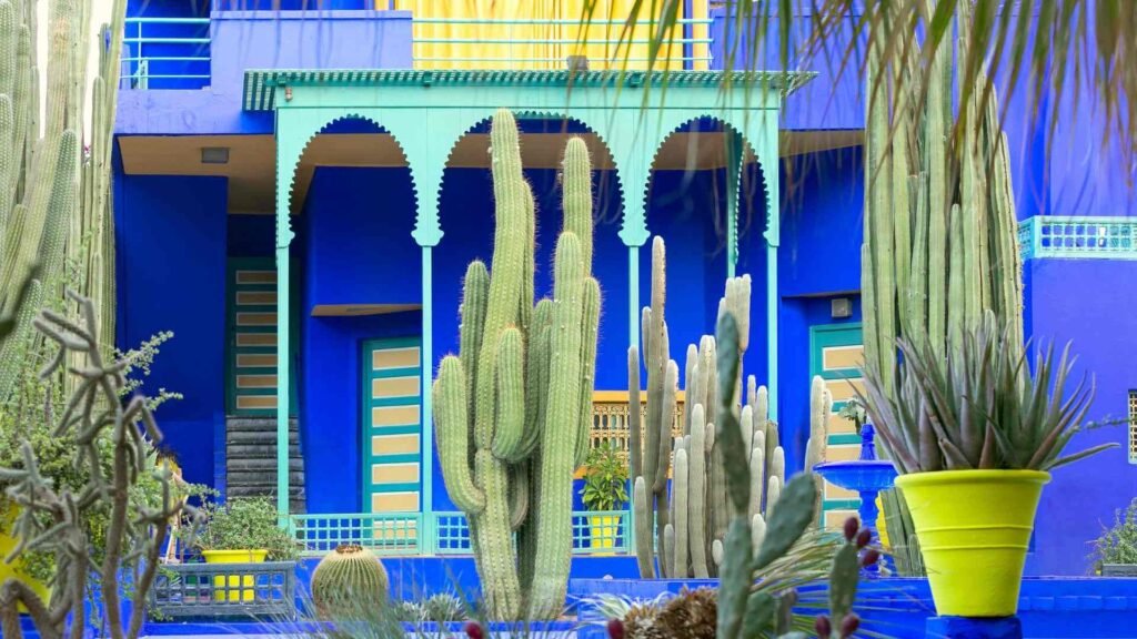 Jardin Majorelle à Marrakech au printemps, fleurs et végétation colorée