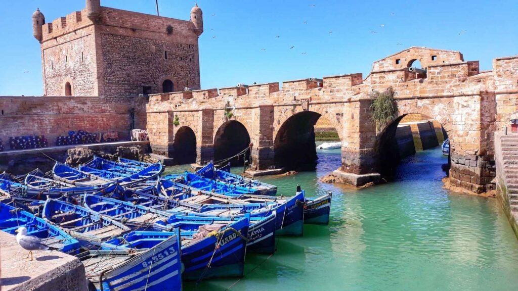 Excursion organisée au départ de Marrakech vers Essaouira, en mini bus