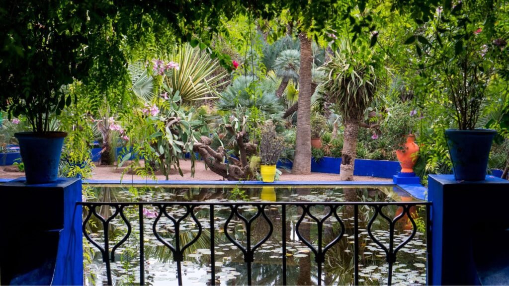 Bassin et plantes exotiques du Jardin Majorelle, l'un des lieux incontournables à visiter à Marrakech.