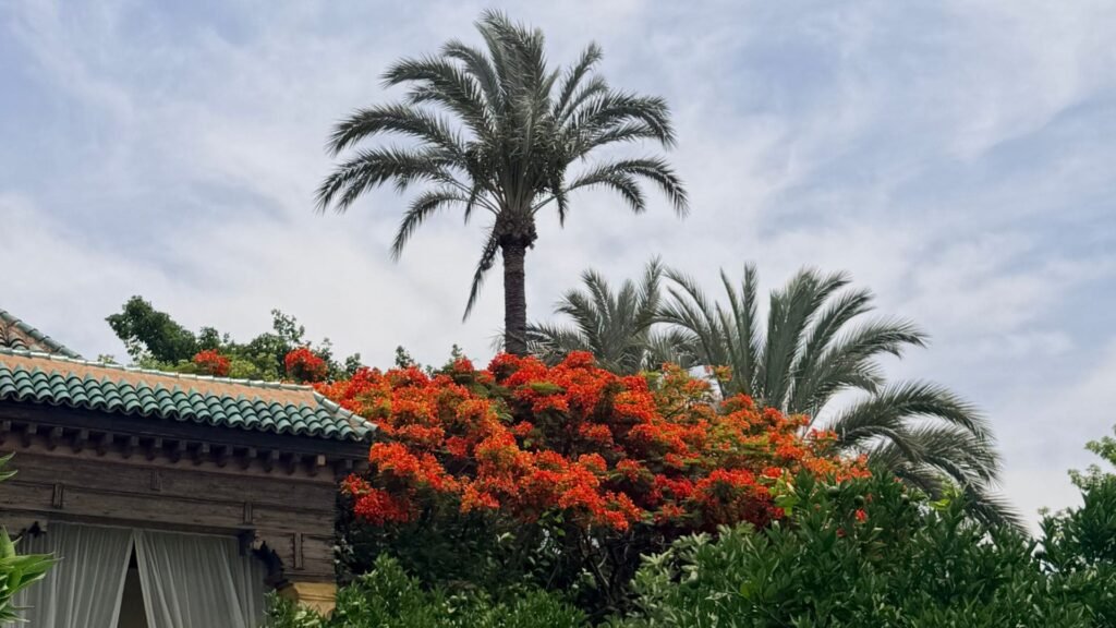Le Jardin Secret de Marrakech, une oasis de calme nichée au cœur de la médina.
