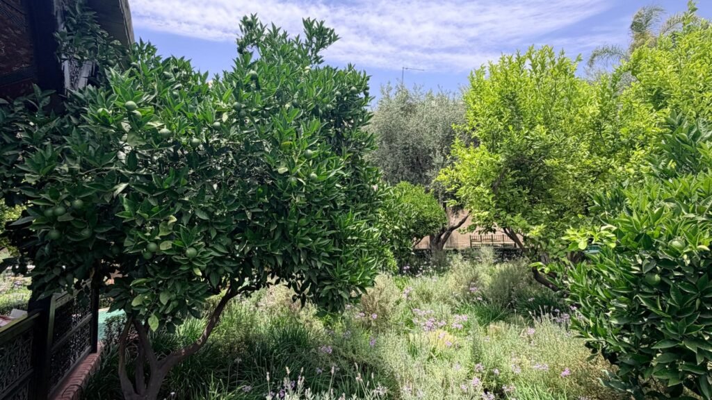 Patio et jardins du Jardin Secret, l'un des plus beaux lieux à découvrir à Marrakech.